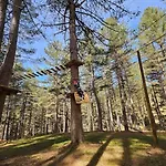 Hébergement de vacances Loricaskihome