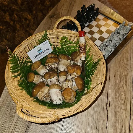 Loricaskihome Lorica