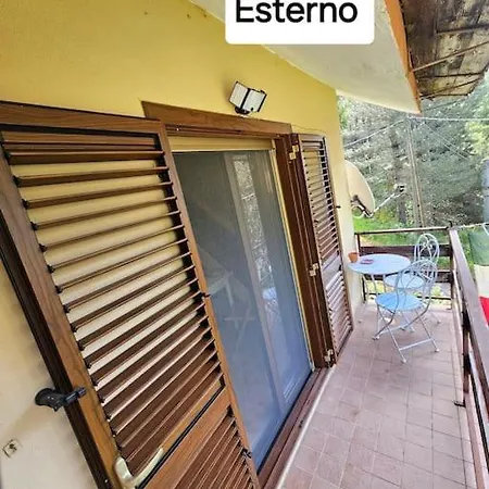 Loricaskihome לוריקה