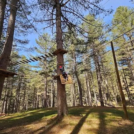 Hébergement de vacances Loricaskihome