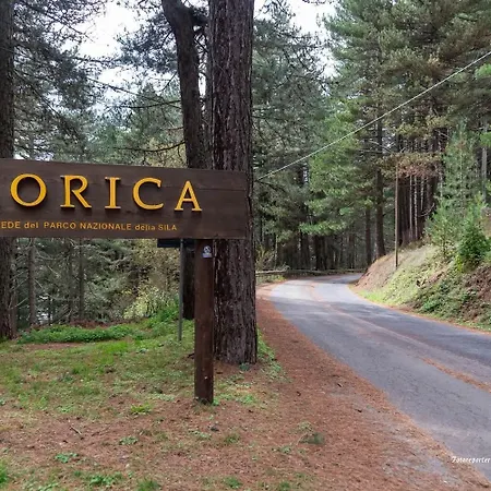 Loricaskihome Lorica