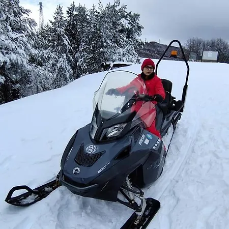 Loricaskihome Lorica