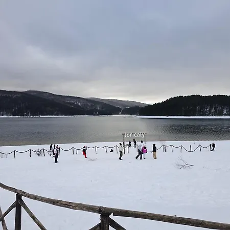 Loricaskihome Lorica