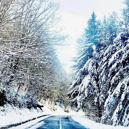 Loricaskihome Prázdninový dům