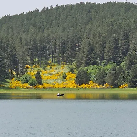 Loricaskihome Lorica