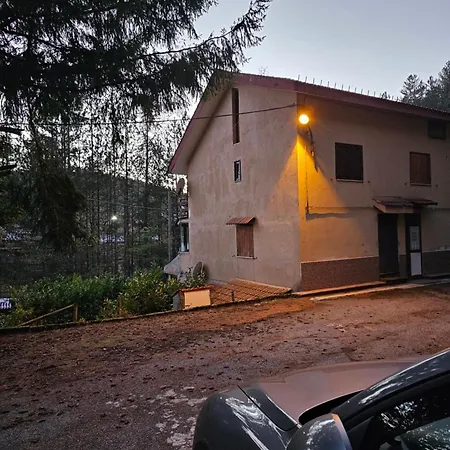 Loricaskihome