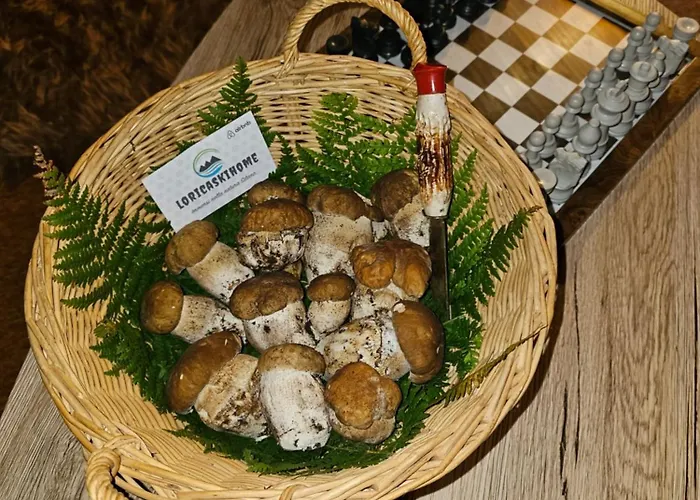 Loricaskihome Lorica