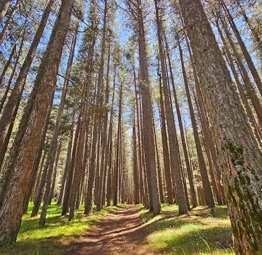 Loricaskihome Prázdninový dům