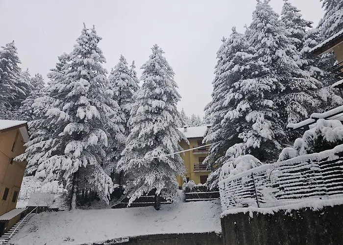 Loricaskihome Lorica