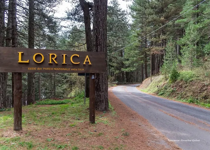 Loricaskihome Lorica