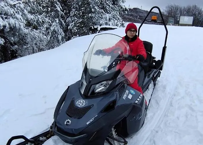 Loricaskihome Lorica