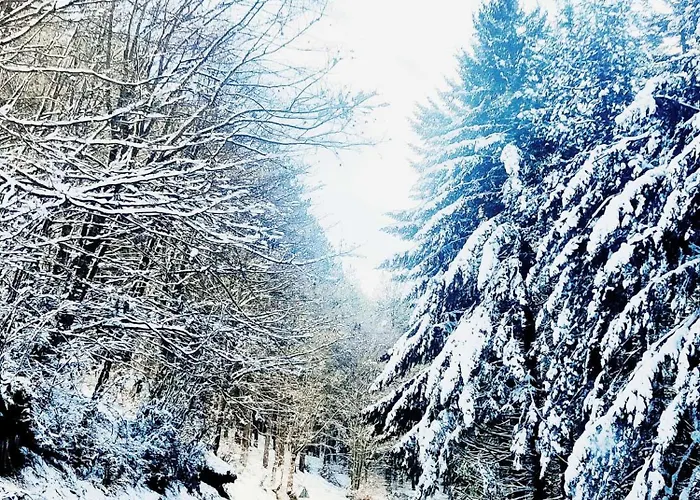 Loricaskihome Prázdninový dům