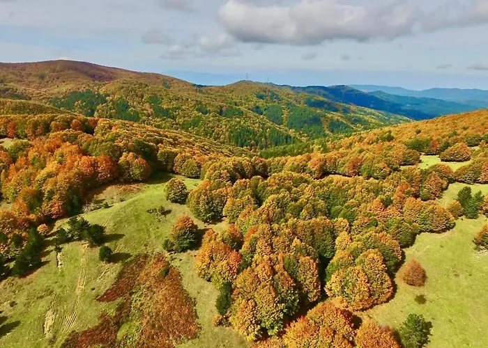 Loricaskihome * Lorica